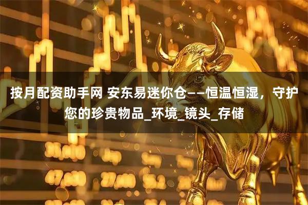 按月配资助手网 安东易迷你仓——恒温恒湿，守护您的珍贵物品_环境_镜头_存储