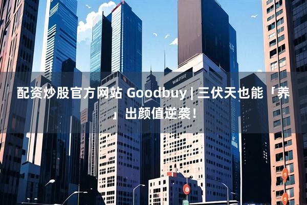 配资炒股官方网站 Goodbuy | 三伏天也能「养」出颜值逆袭！
